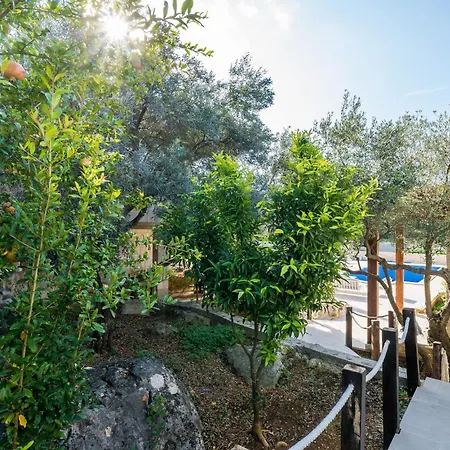 Lovely In With Wifi *