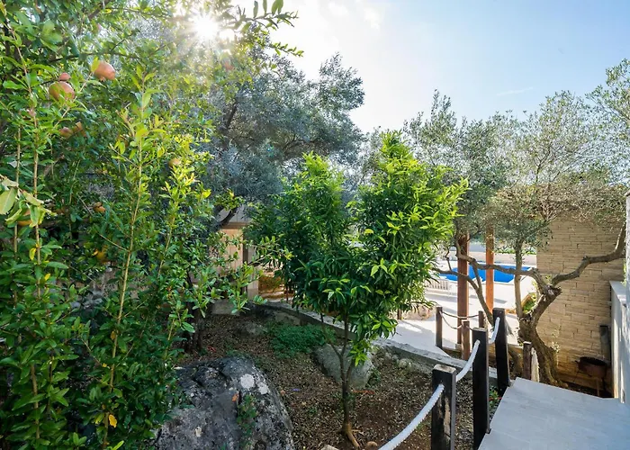 Lovely In With Wifi *